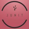 junit241